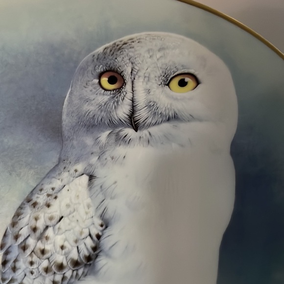 Snowy Owl Plate & Stand - Picture 3 of 5